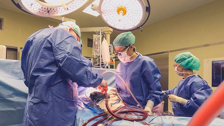 Immanuel Klinikum Bernau Herzzentrum Brandenburg - Nachricht - Video-Tipp: Die Herz-OP – der Motor unseres Lebens - TVNOW - Operation - Foto: Mediengruppe RTL Immanuel Klinikum Bernau Herzzentrum Brandenburg - Nachricht - Video-Tipp: Die Herz-OP – der Motor unseres Lebens - TVNOW - Operation - Foto: Mediengruppe RTL